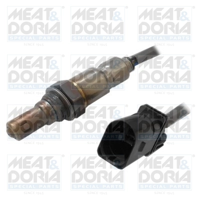 Oxygen Sensor
